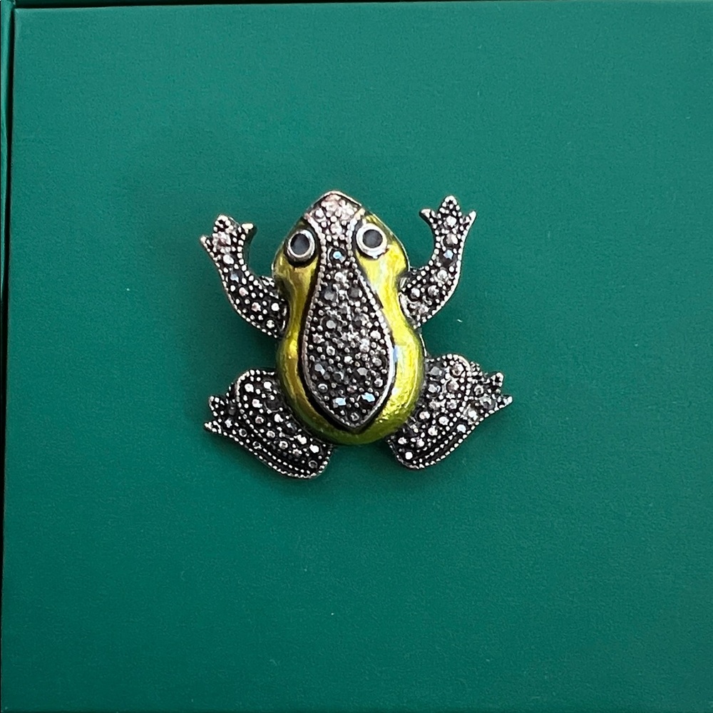 🐸 brooch